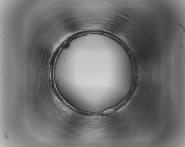X0000100421118200806201816