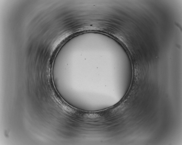X0000100421119200806201816