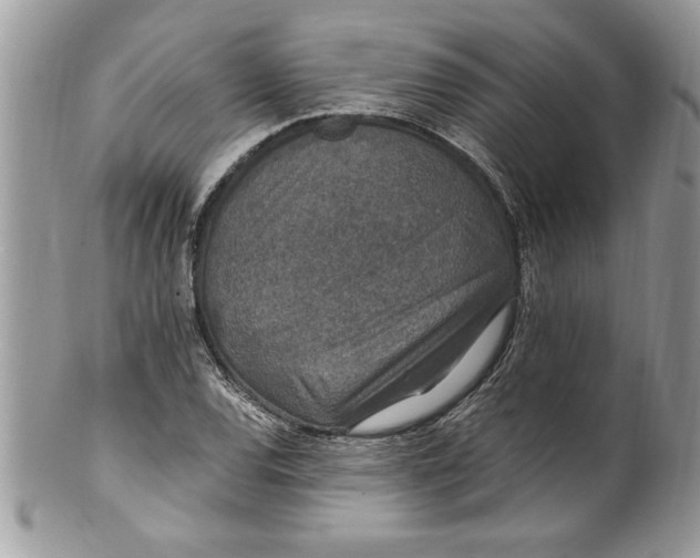 X0000100421120200806201816