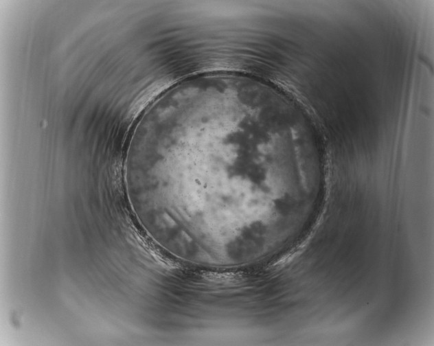 X0000100421121200806201816