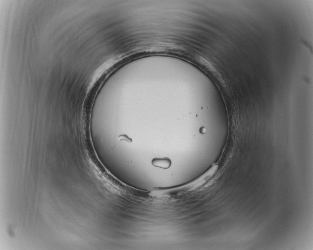 X0000100421122200806201816
