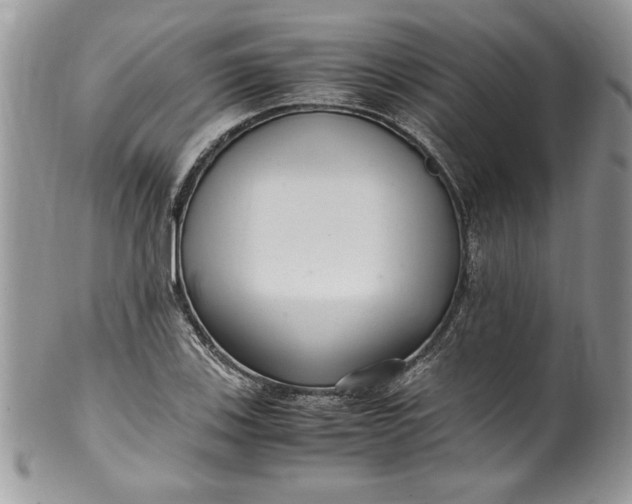 X0000100421123200806201816