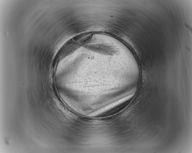 X0000100421124200806201816