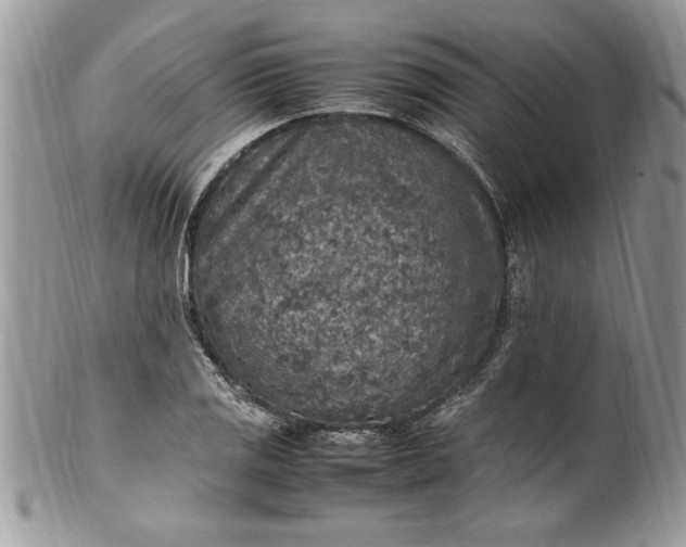 X0000100421125200806201816