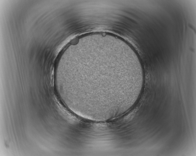 X0000100421126200806201816