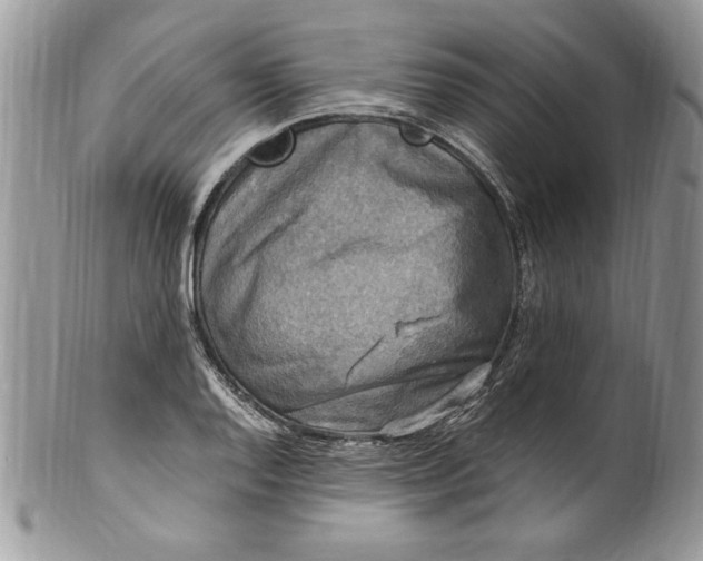 X0000100421128200806201816