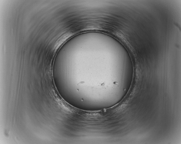X0000100421129200806201816