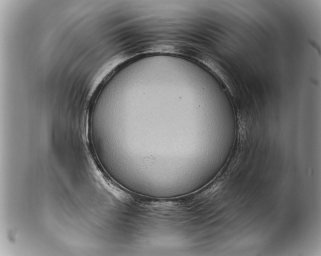 X0000100421131200806201816