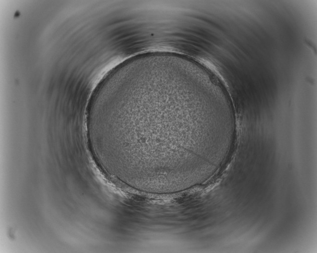 X0000100421133200806201816