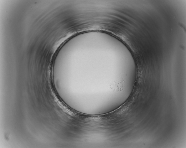 X0000100421134200806201816
