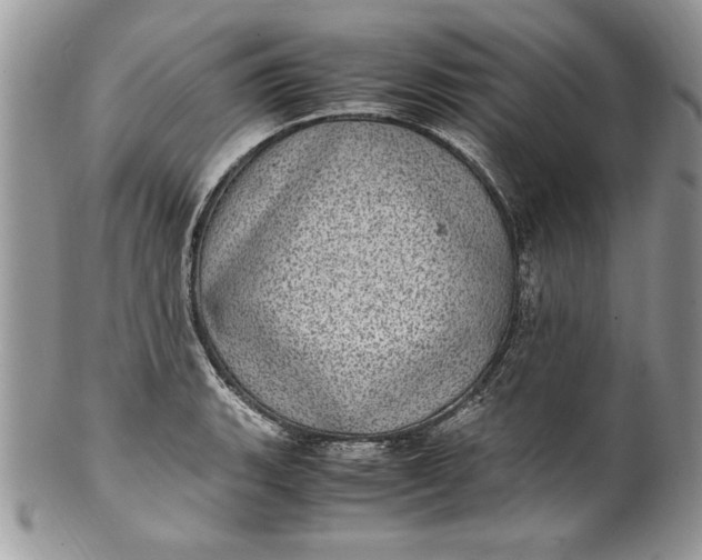 X0000100421135200806201816