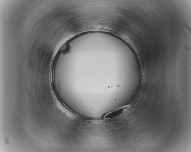 X0000100421136200806201816
