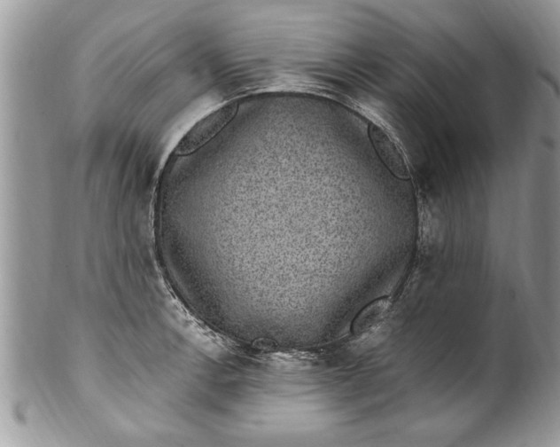 X0000100421138200806201816