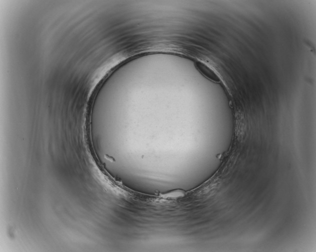 X0000100421139200806201816
