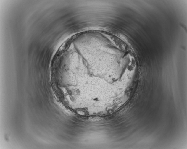 X0000100421140200806201816