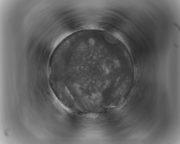 X0000100421141200806201816