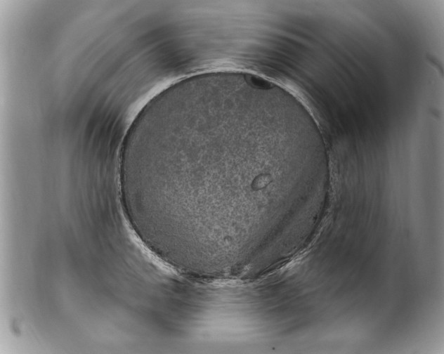 X0000100421142200806201816