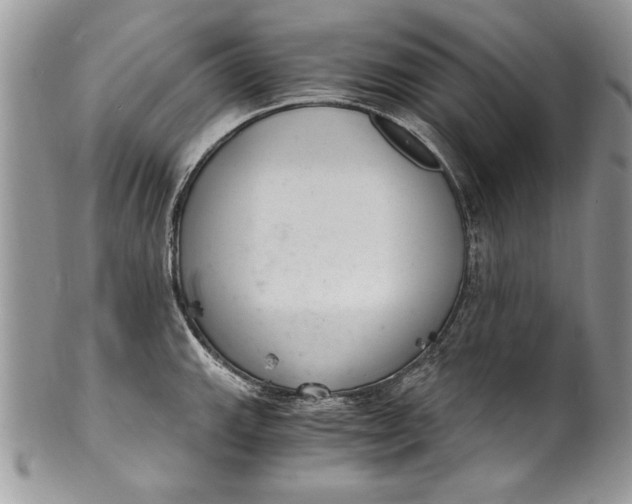 X0000100421143200806201816