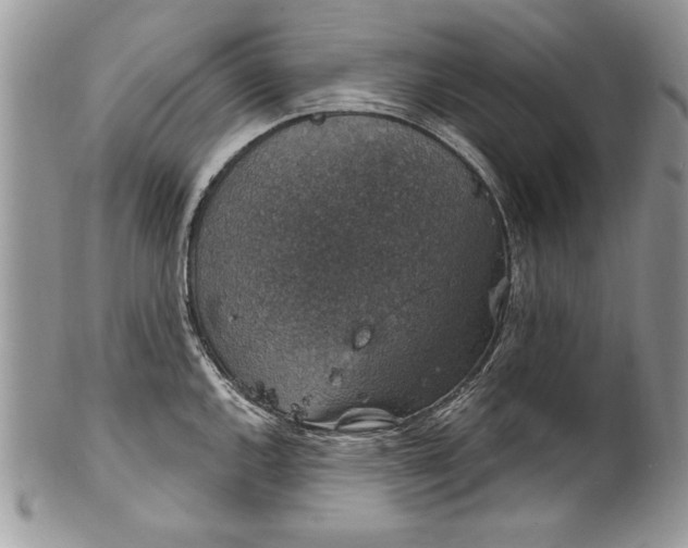 X0000100421144200806201816