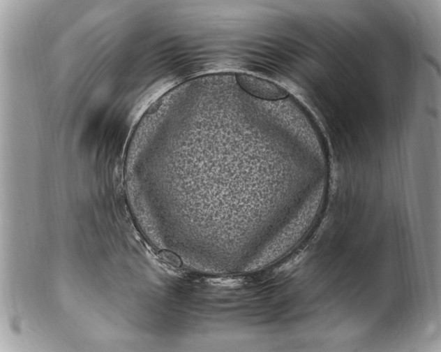 X0000100421145200806201816
