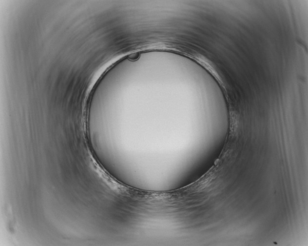 X0000100421148200806201817