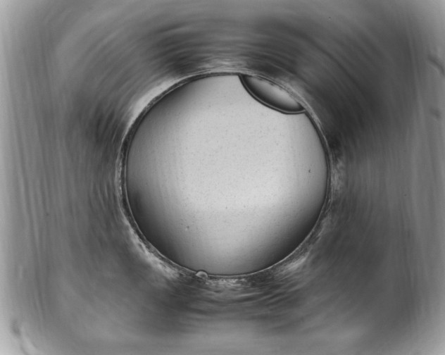 X0000100421149200806201817