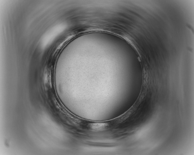 X0000100421151200806201817