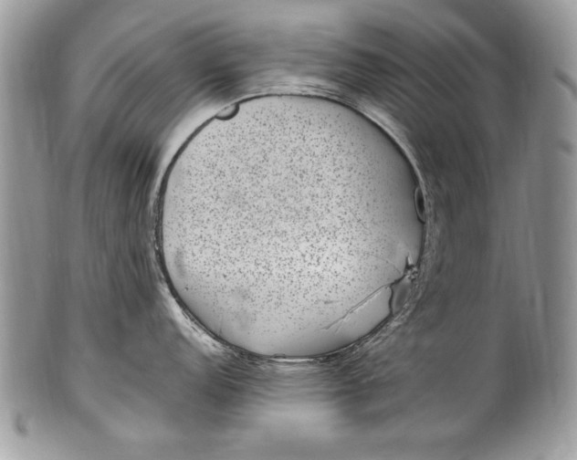X0000100421152200806201817