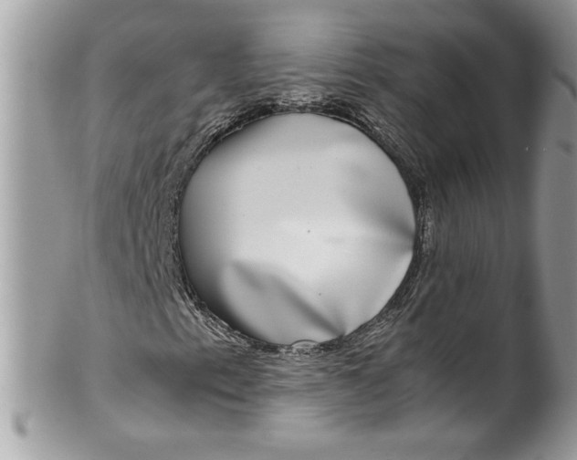 X0000100421153200806201816