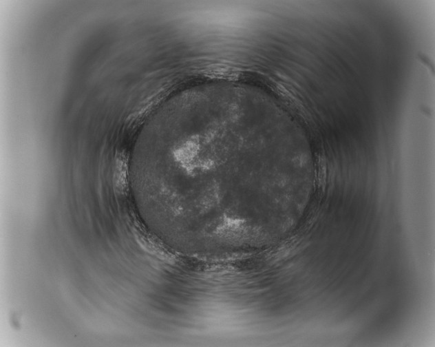 X0000100421154200806201816