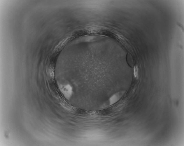 X0000100421155200806201816