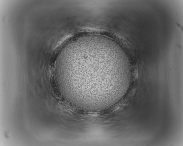 X0000100421157200806201816
