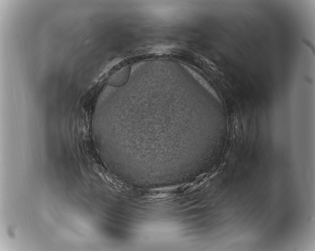 X0000100421158200806201816