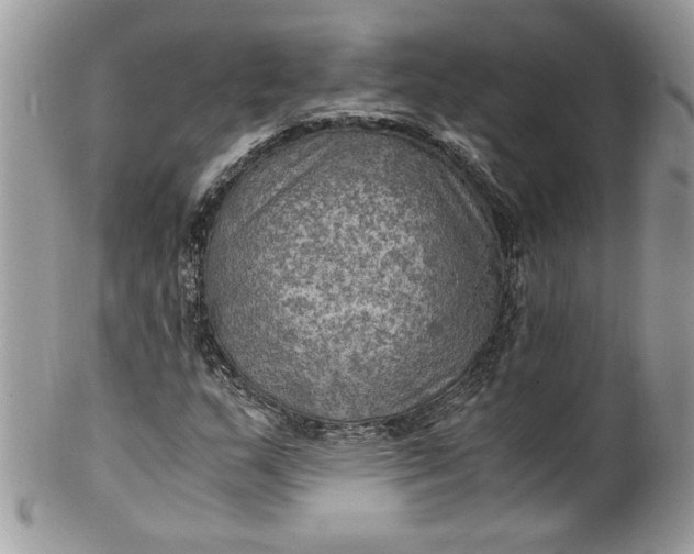 X0000100421159200806201816