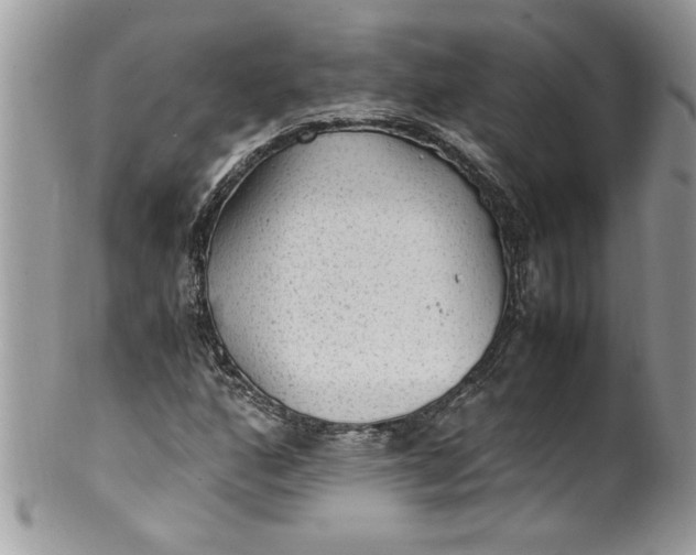 X0000100421160200806201816