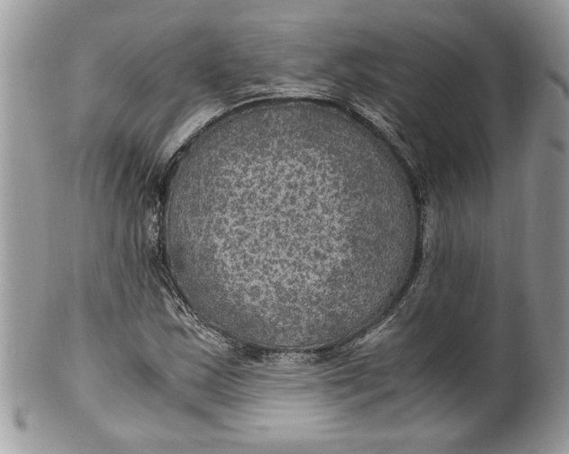 X0000100421163200806201816