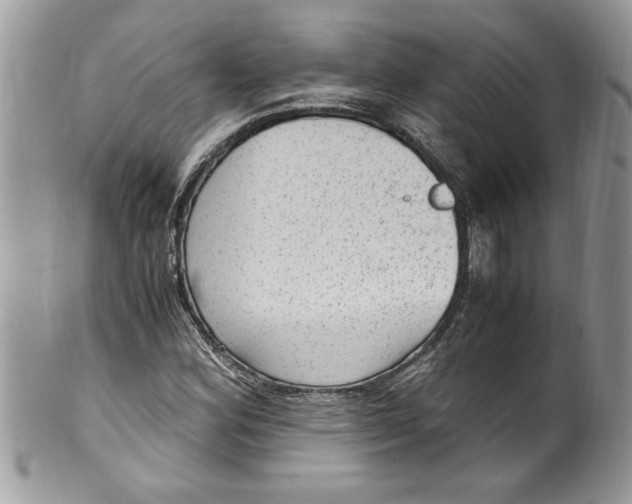 X0000100421164200806201816