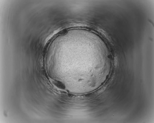 X0000100421165200806201816