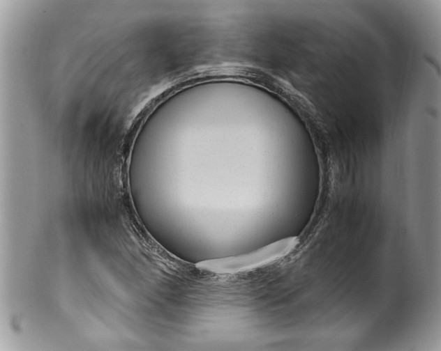 X0000100421166200806201816