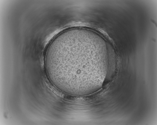 X0000100421167200806201816