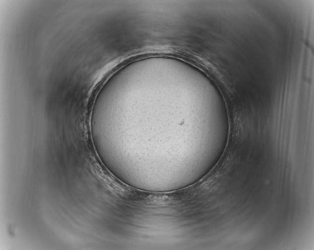 X0000100421168200806201816