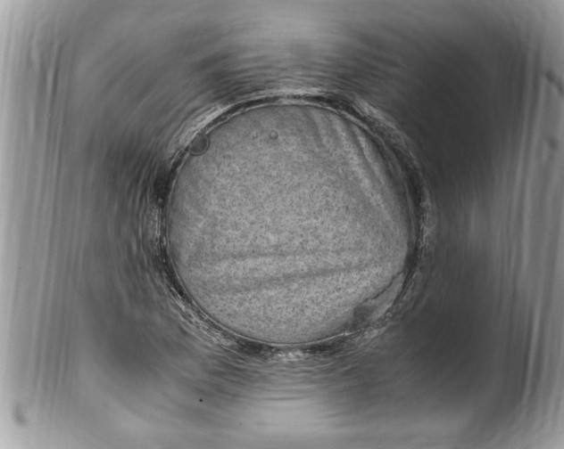 X0000100421169200806201816