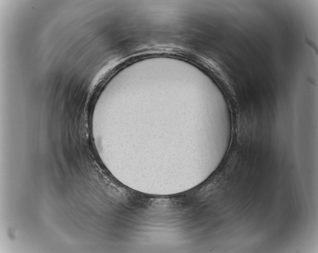 X0000100421172200806201816