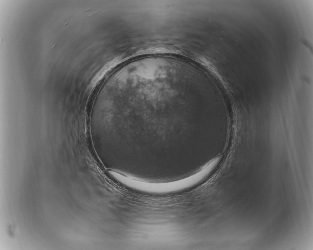 X0000100421173200806201816