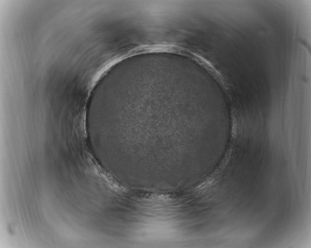 X0000100421174200806201816