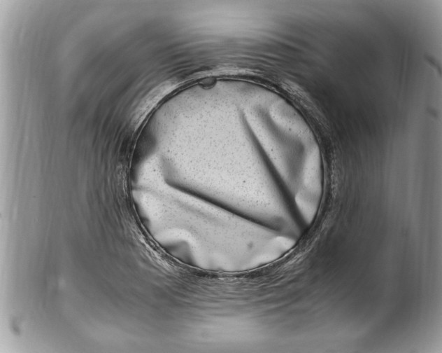 X0000100421177200806201816
