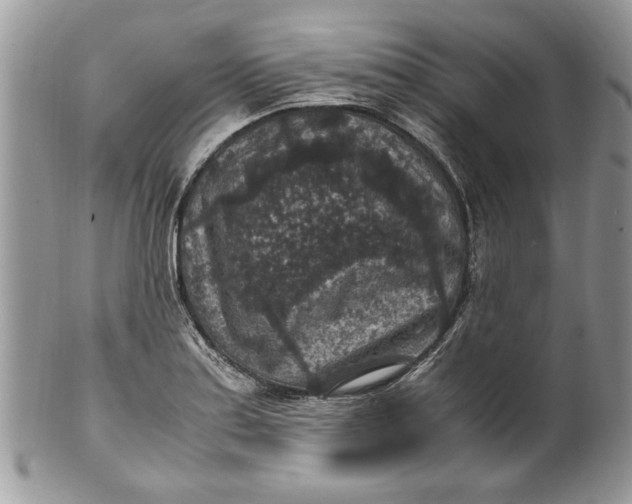 X0000100421179200806201816