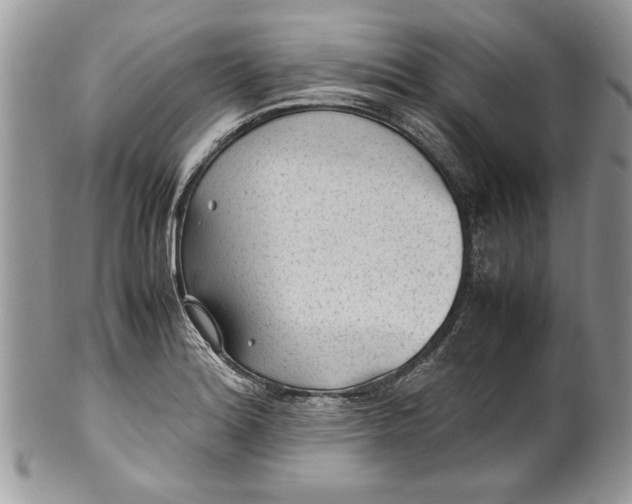 X0000100421180200806201816
