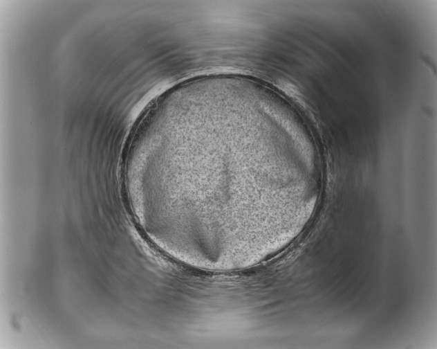 X0000100421181200806201816