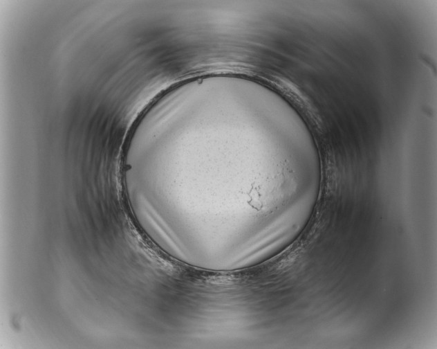 X0000100421182200806201815